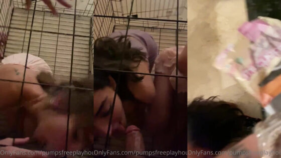 Riley Reid y sus amigos comparten una polla