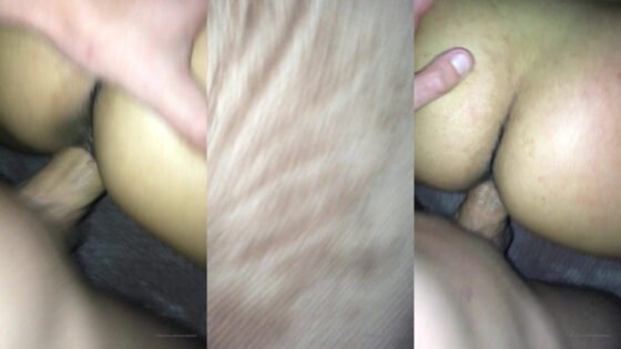 Zerella Skies es follada al estilo perrito en POV