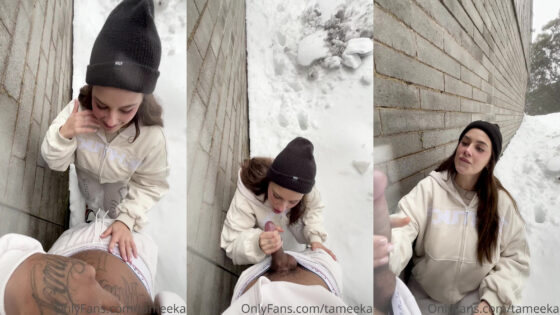 La rápida mamada de Tameeka en la nieve